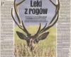 Gazeta Wyborcza - 